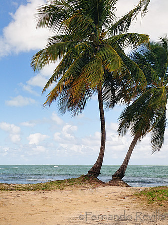 Playa Luquillo, Puerto Rico